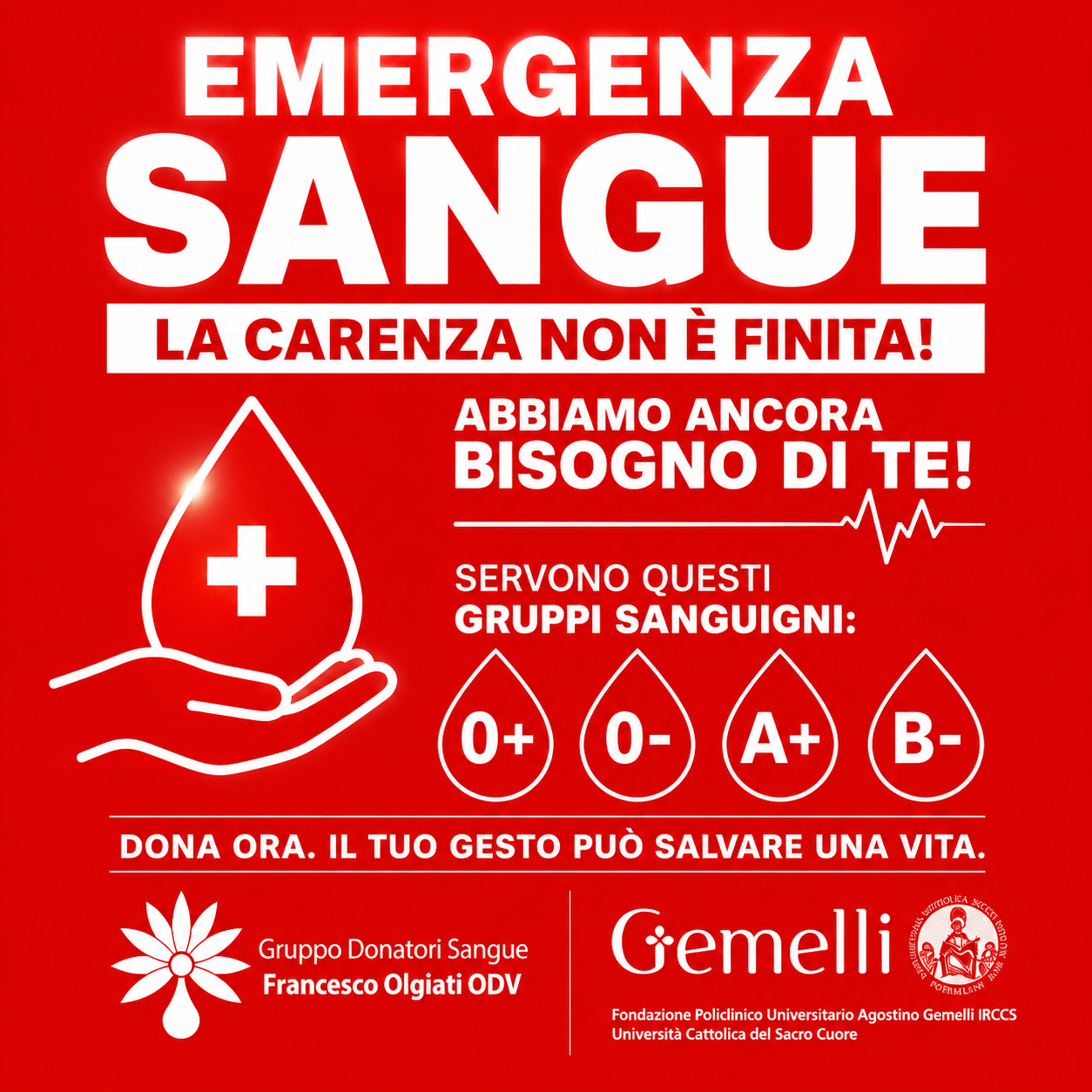 Policlinico Gemelli, serve ancora sangue: appello ai donatori 0+, 0−, A+ e B− Policlinico Gemelli, serve ancora sangue: appello ai donatori 0+, 0−, A+ e B−